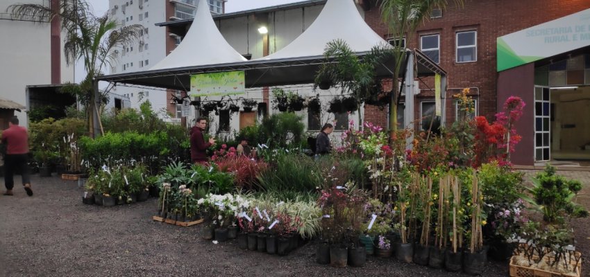 Agricultura promoverá Feira de Mudas Frutíferas, Flores e Produtos Coloniais