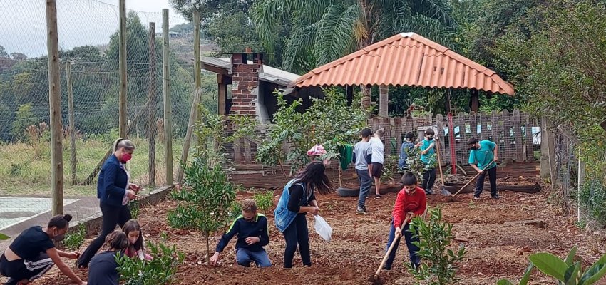 EBM Sede Figueira realiza projeto Horta na Escola