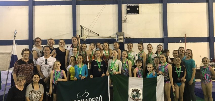 Gin&aacute;stica Art&iacute;stica apresenta resultados em torneio estadual