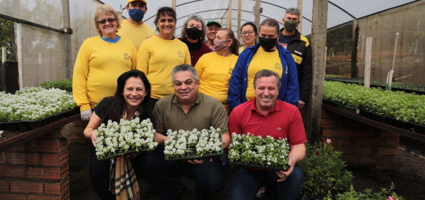 Horto Municipal produziu 80 mil mudas de flores e plantas ornamentais no ano
