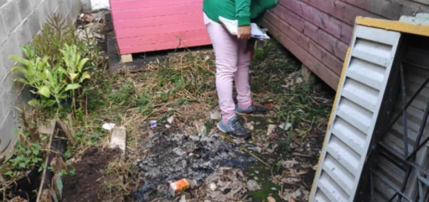 Vigilância Ambiental realiza mutirão de combate à Dengue