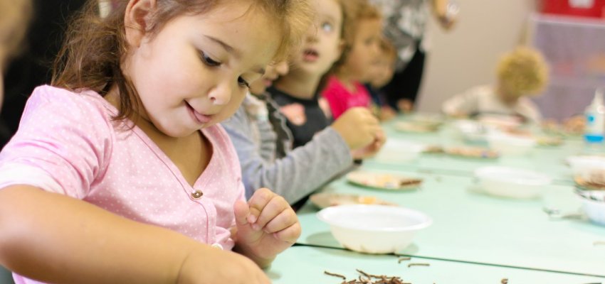 Eu sou especial! Vamos nos conhecer? 