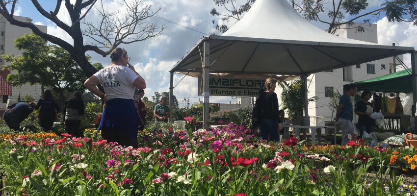 10&ordf; edi&ccedil;&atilde;o da Feira de Mudas supera expectativa de vendas