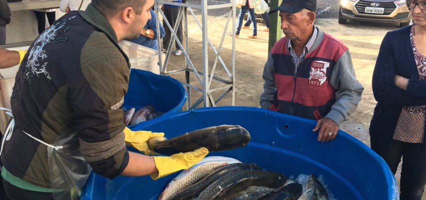Quaresma incentiva a comercializa&ccedil;&atilde;o e consumo de peixes nas Feiras Livres 