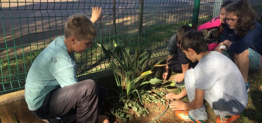 Projeto ensina valores, responsabilidade e compromisso