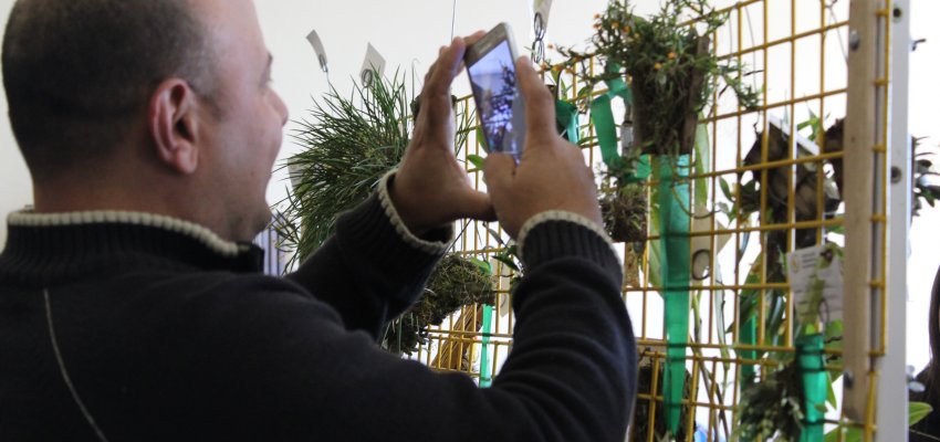 10&deg; Exposi&ccedil;&atilde;o de Orqu&iacute;deas encerra com sucesso de p&uacute;blico