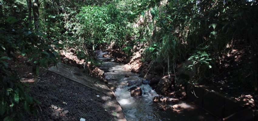 Aprovada licen&ccedil;a para limpeza dos rios na &aacute;rea urbana