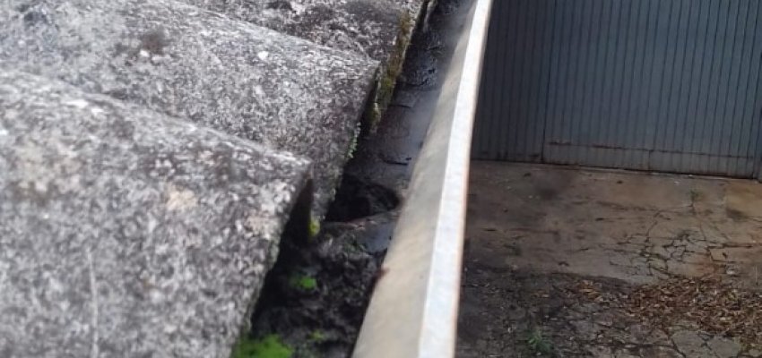 Agentes de Endemias fazem levantamento do Aedes aegypti