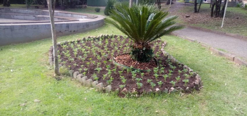 Cronograma semanal de ações de infraestrutura nos Bairros, Interior e Escolas do Município