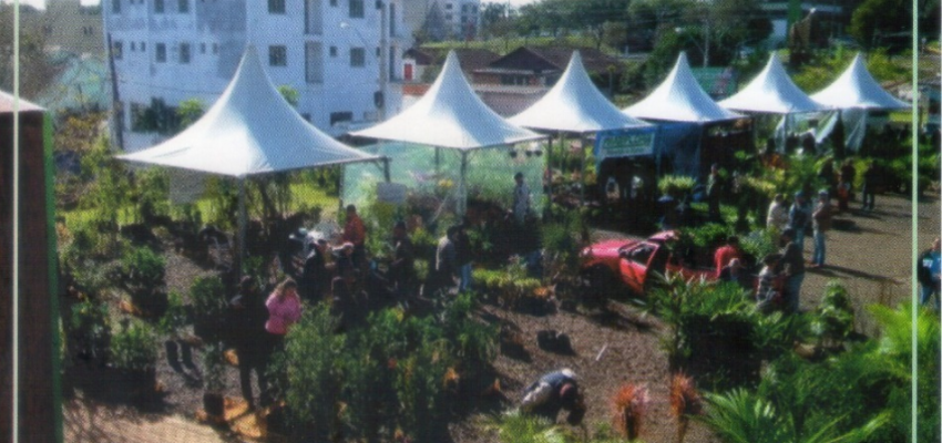 Feira de mudas frutíferas e plantas ornamentais inicia nesta sexta-feira