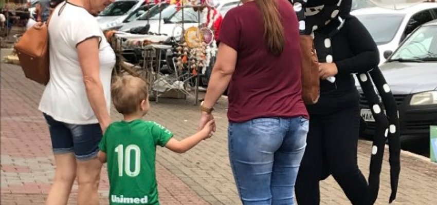 Mutir&atilde;o de combate ao Aedes Aegypti aconteceu em Chapec&oacute;