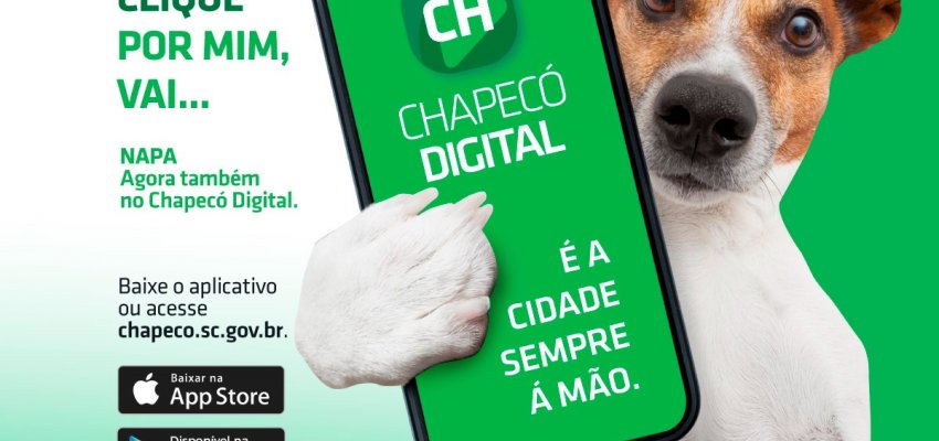 Você conhece o NAPA? Sabe como ele funciona?