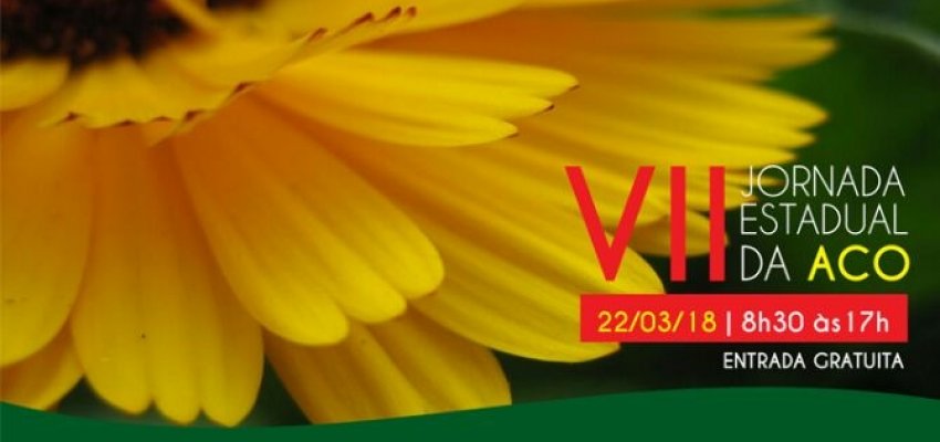 Jornada para pacientes ostomizados acontece em Chapec&oacute;