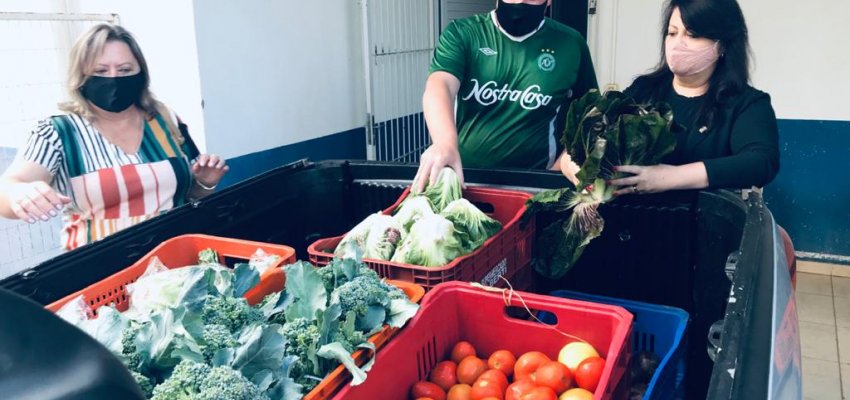 Produtos direto do campo para os programas sociais do município