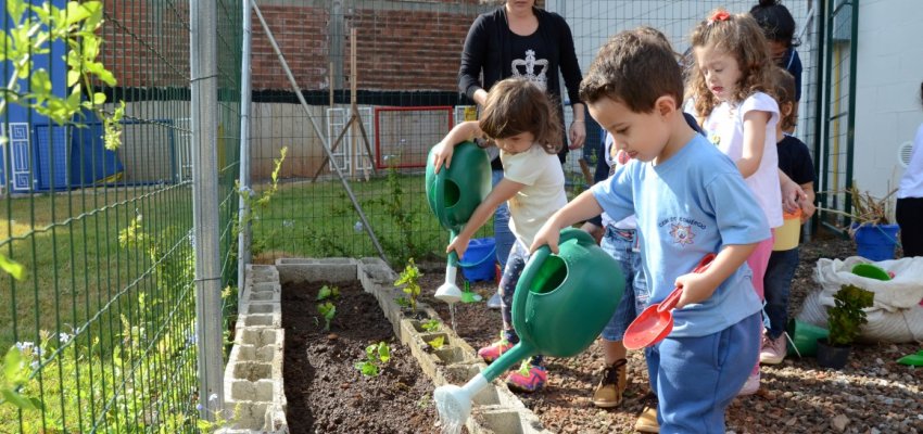 CEIM desenvolve atividades do projeto pequenos ambientalistas