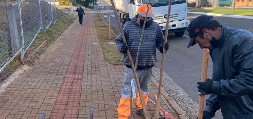 Avenida Getúlio Vargas receberá plantio de 500 árvores