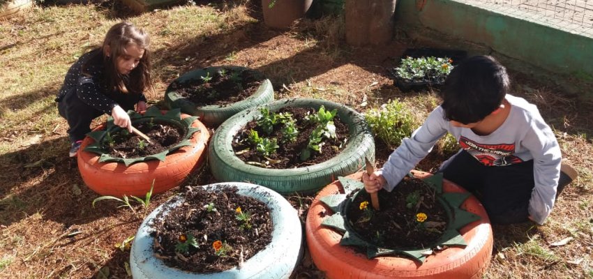 CEIM desenvolve projeto sobre preservação do meio ambiente