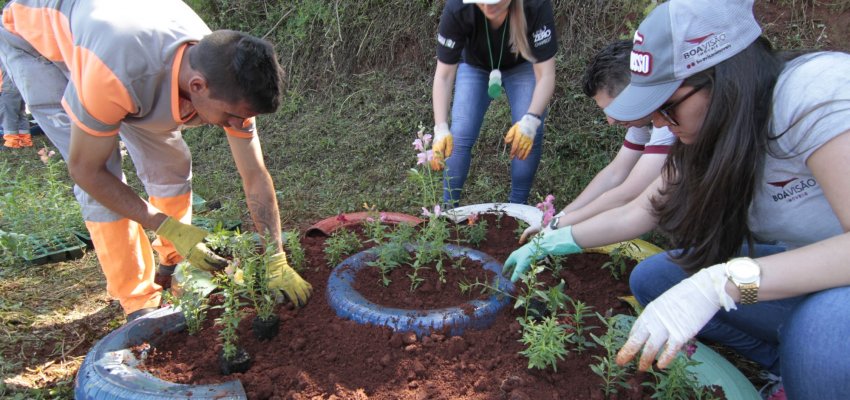 Lixo Zero Chapecó: Um ano de Programa, muitos desafios e resultados conquistados