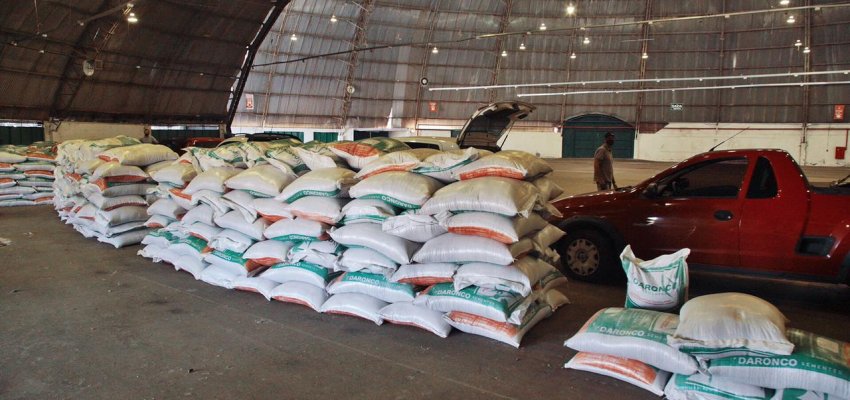 Agricultura ainda tem 400 sacas de aveia para distribuição gratuita