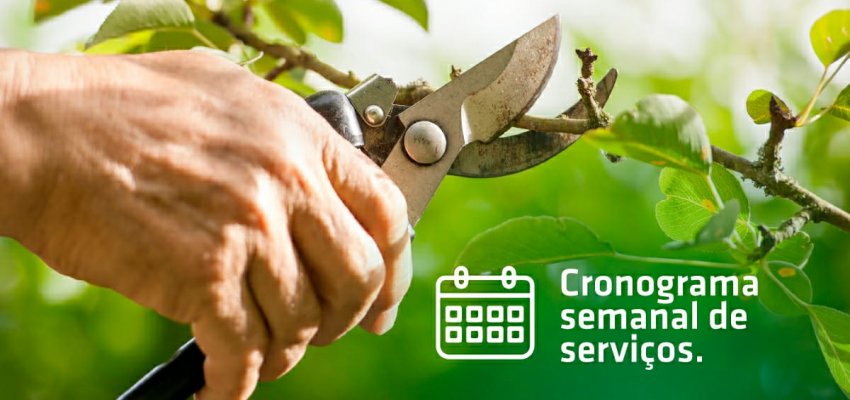 SEINFRA divulga cronograma semanal de servi&ccedil;os