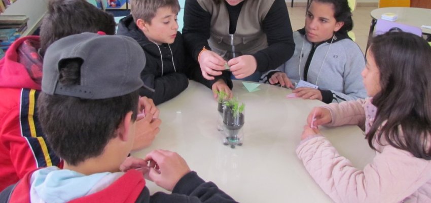 Escola realiza semana do Meio Ambiente em Chapec&oacute;