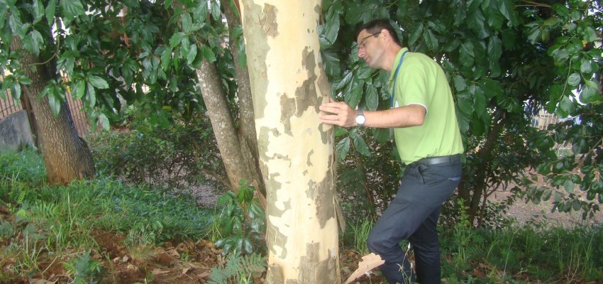 Taturanas: SEJEL e Sa&uacute;de alertam para cuidados em caminhadas no Verd&atilde;o