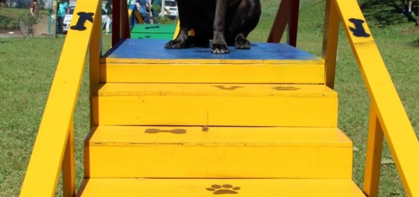 Dia �D� Sa&uacute;de incentiva a pr&aacute;tica de atividades f&iacute;sicas