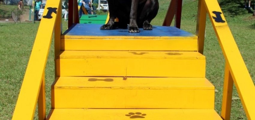 Prefeitura prepara quarta edi&ccedil;&atilde;o do Passeio a Cavalo no Verd&atilde;o