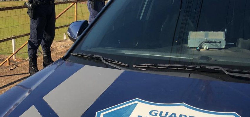 Relat&oacute;rio de Atendimentos da Guarda Municipal e Vigil&acirc;ncia Sanit&aacute;ria