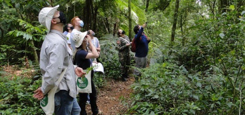 Meio Ambiente promove capacitação sobre identificação de espécies da Mata Atlântica
