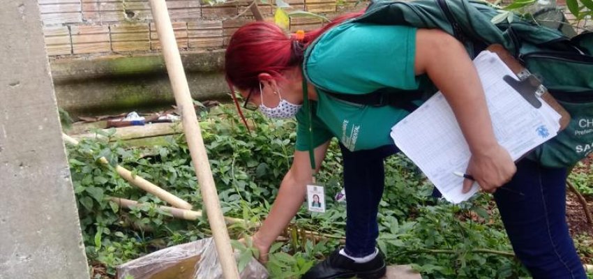 Chapecó lança pacote de ações no combate à dengue