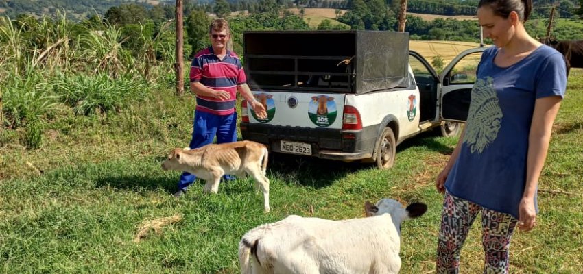 Programa SOS Bezerros intermediou doação de 270 animais no ano