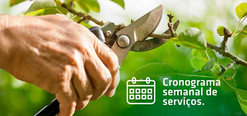 Secretaria de Infraestrutura divulga cronograma semanal