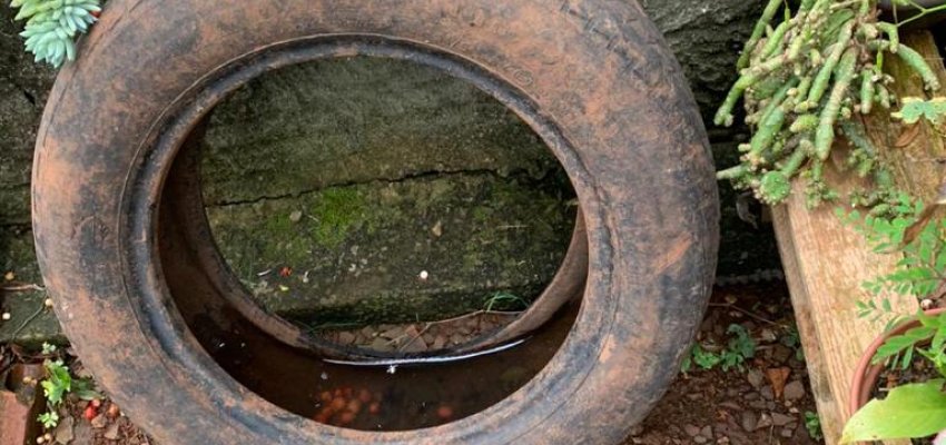 Vigil&acirc;ncia Realiza Orienta&ccedil;&atilde;o e Mutir&atilde;o Para o Dia de Finados&nbsp;