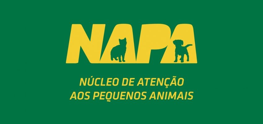 NAPA promove a campanha Dezembro Verde