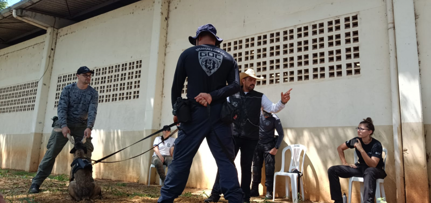 Curso de Cinotecnia Policial re&uacute;ne participantes dos tr&ecirc;s estados do Sul