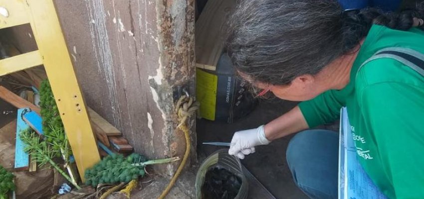 Bairro Eldorado recebeu mutir&atilde;o de combate &agrave; dengue