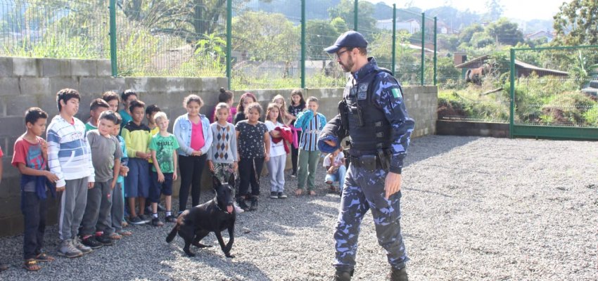 Lan&ccedil;ado o projeto NAPA nas escolas