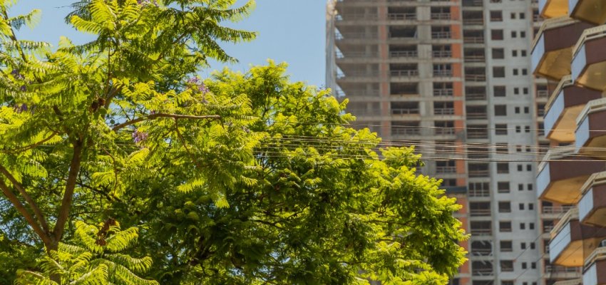Prefeitura aprovou mais de tr&ecirc;s milh&otilde;es de metros quadrados de constru&ccedil;&atilde;o desde 2021