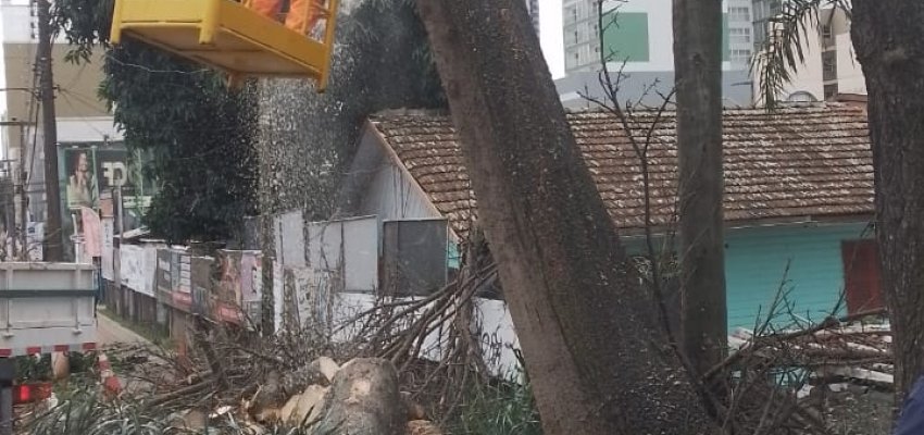 Defesa Civil e Servi&ccedil;os Urbanos retiram &aacute;rvore que representava risco para os moradores