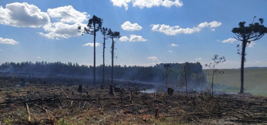 Diretoria de Meio Ambiente alerta para proibi&ccedil;&atilde;o de queimadas