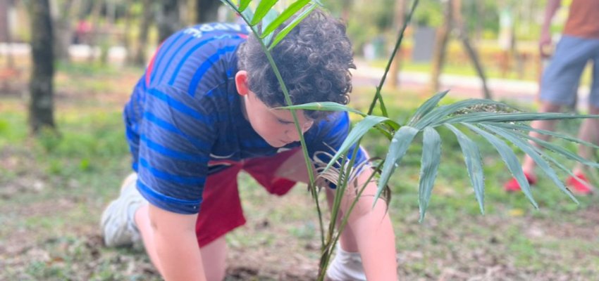 Prefeitura de Chapecó promove plantio de espécie nativa no Ecoparque