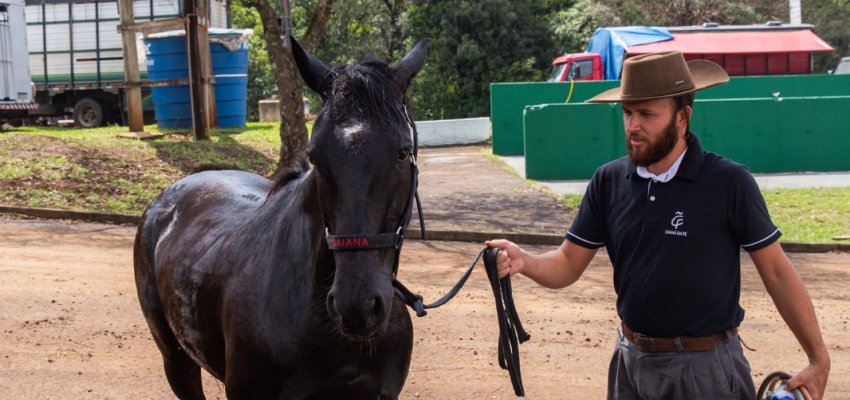Animais começam a chegar no Parque da Efapi