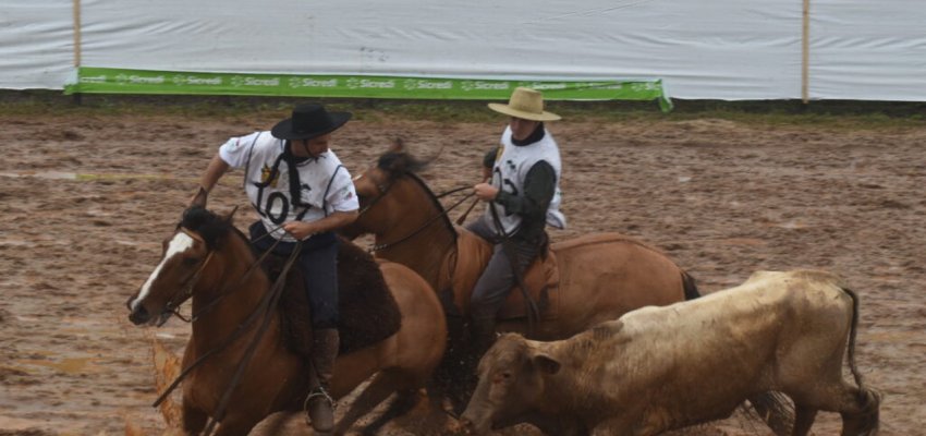 Efapi teve credeciadora para o Freio de Ouro