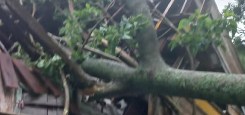 Chapecó decreta situação de emergência por prejuízos causados pela chuva e vendaval