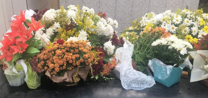 Ações de combate a dengue no feriado de Finados