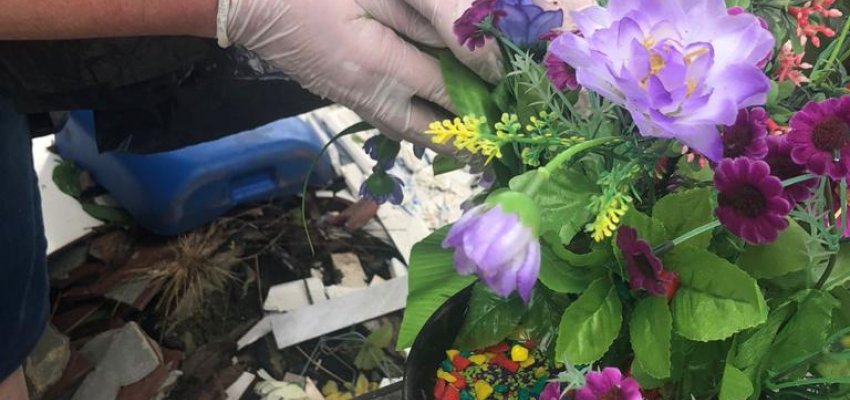 Floriculturas e mercados são orientados sobre venda de flores no Finados