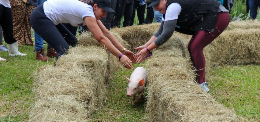 Projeto "Agrogincana: Desemparedando a gestão" é promovido pela Secretaria de Educação