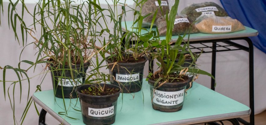 EBM em Agropecuária Demétrio Baldissarelli promove Seminário sobre temas do campo