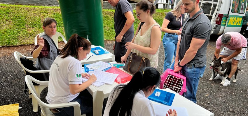 Saúde e NAPA farão vacinação porta a porta na região onde foi encontrado morcego com raiva